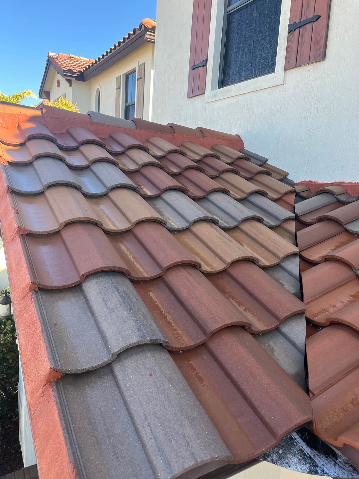 Roof after soft washing treatment