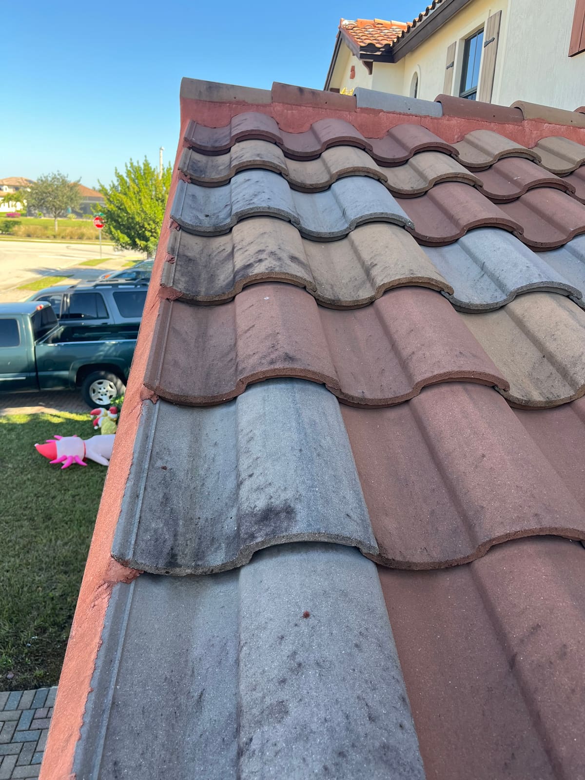 Roof before soft washing treatment